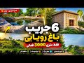باغ شش جریب با انگورخانه معیاری و حوض بزرگ قیمت استثنایی