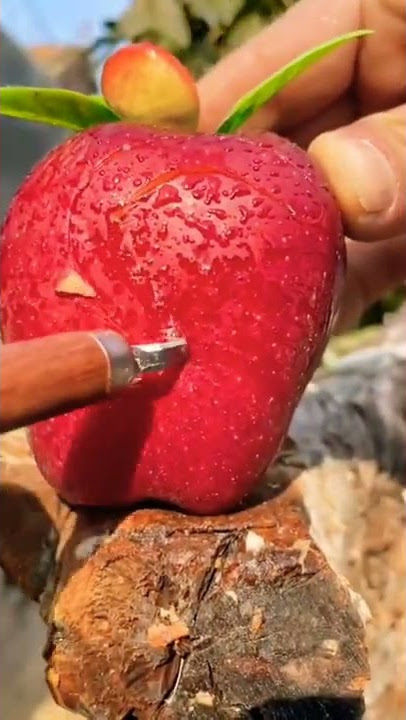 Fruit Lovers #tiktok  🥝🍓🍎| #delicious #shorts #trending #viral #ytshorts #challenge #fyp #fruit 445