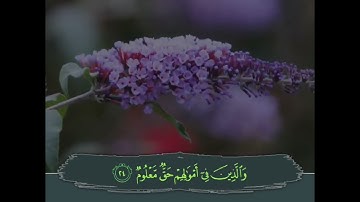 ماتيسر من سورة المعارج قراءة قريبة من قراءة الشيخ ابو بكر الشاطري.