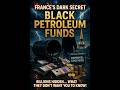 The Oil Cartel That Owns France: A Wealth Echoes Investigation (Trailer)
