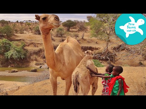Flussdurchquerung mit Kamelen | Mein Bruder und ich in Kenia | SWR Kindernetz