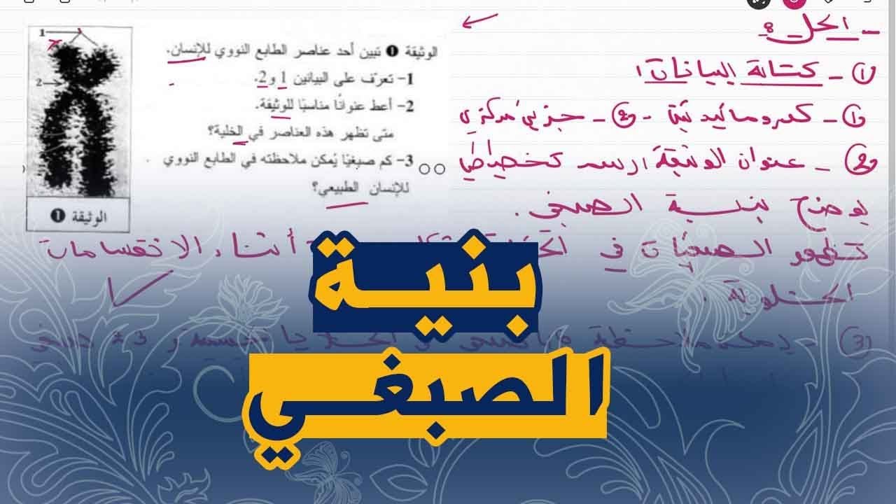 علوم طبيعية للسنة الرابعة متوسط تمرين على الصبغيات