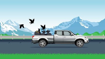 Сentral Garbage Collection Explainer Video | Doodle Video Production