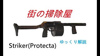 ゆっくり銃器解説#15 "セミオート？巨大リボルビング式散弾銃"Striker"(ストライカー、プロテクタ、ストリートスイーパー)