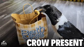 Giving Our Crow A Gift