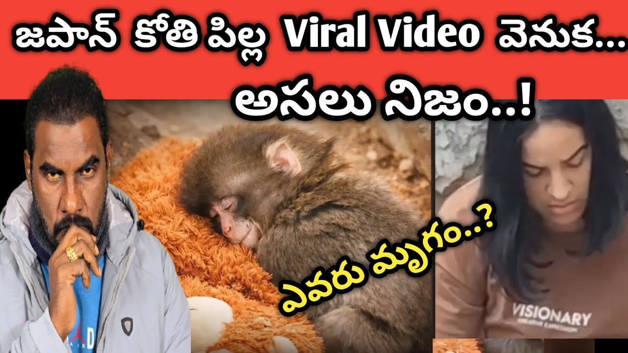 ఒక కోతి 🐒 ప్రపంచాన్ని ఏడిపించింది || మనిషికి.. పశువు కి మధ్య తేడా ఏమిటో చూపించింది | ఎవరు మృగం..? ||