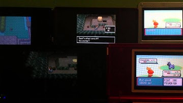 6 Live Uncatchable Shiny Poochyenas