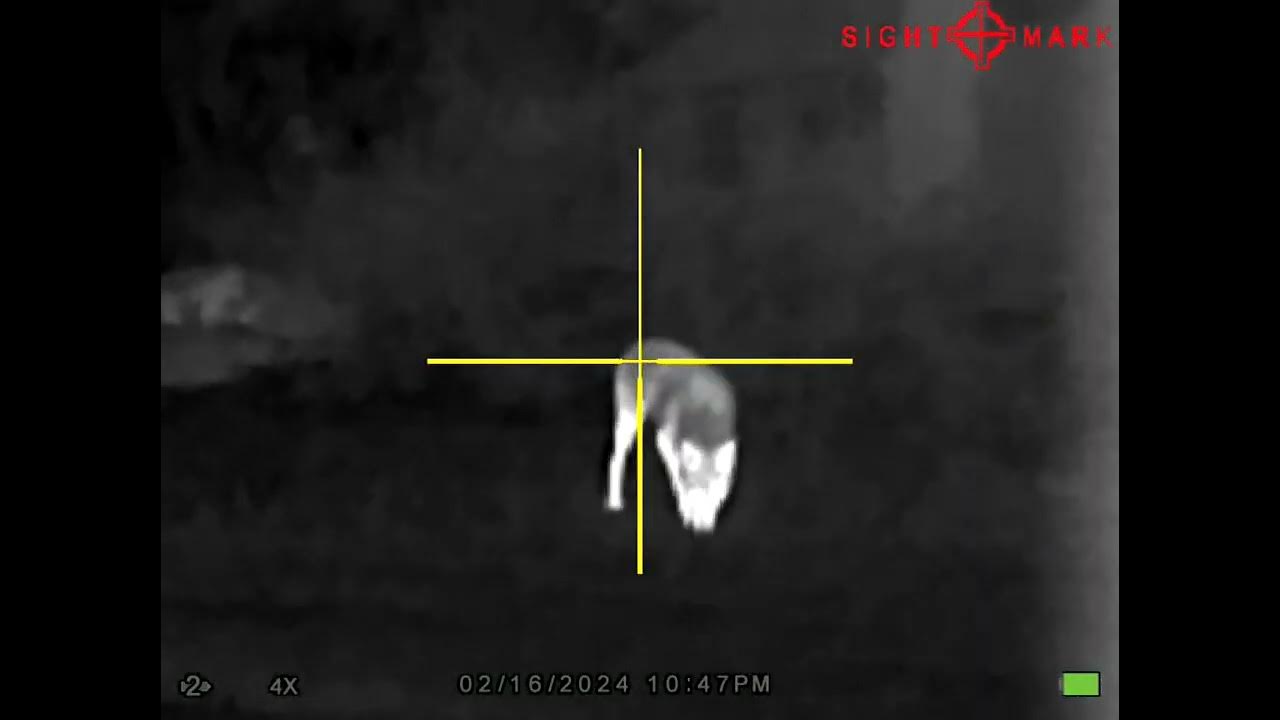 Sightmark Wraith thermal on a TCR22 using CCI subsonic segmented hollow