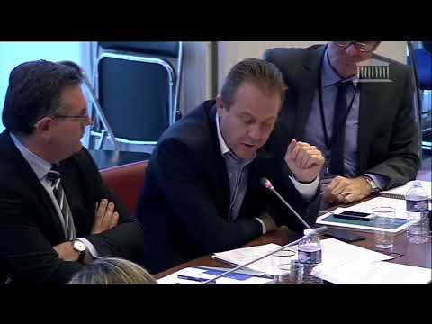 Olivier Gaillard Commission des finances Audition de Raoul Briet (22 novembre 2017)
