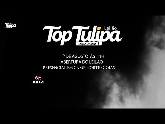 LOTE 229   APKT 855