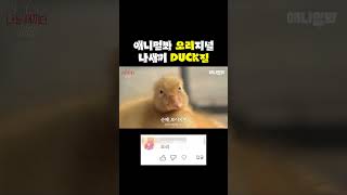 민들레 호오리씨 DUCK질 같이 할래요? ♡구독자님 요청 영상♡