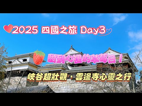 四國之旅Day3｜第一次草莓採到爆！大小步危峽谷太震撼！雲邊寺纜車超美視角 My First Strawberry Picking! Oboke & Koboke Gorge Boat Ride