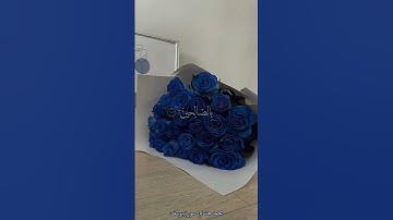 ﴿تَوَفَّني مُسلِمًا وَأَلحِقني بِالصّالِحينَ﴾ القارئ محمد هشام .