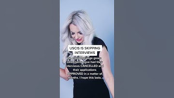 Immigration Attorney