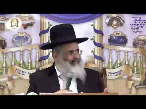 שידור חי מסוכת מו"ר הרב ישראל אברג'ל שליט"א