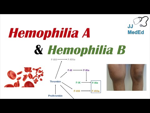 Video: Perbezaan Antara Hemofilia A Dan B
