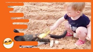 Baby and Cat are Best Friends - Funny Pets Videos Baby and Cat are Best Friends - Funny Pets Videos