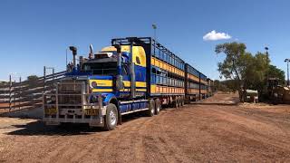 Road Trains Australia Outback
