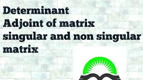 class 9 math Determinant, adjoint, singular  and non singular matrix| by sheryar khan|in urdu/hindi|