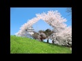 春告鳥/オリジナル カラオケ作詞塚本恵美子 作曲安藤嘉彦
