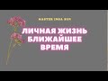 ЛИЧНАЯ ЖИЗНЬ БЛИЖАЙШЕЕ ВРЕМЯ