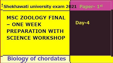one Week preparation series -day4 ||MSc Zoology Final |Shekhawati university| kusum|science workshop