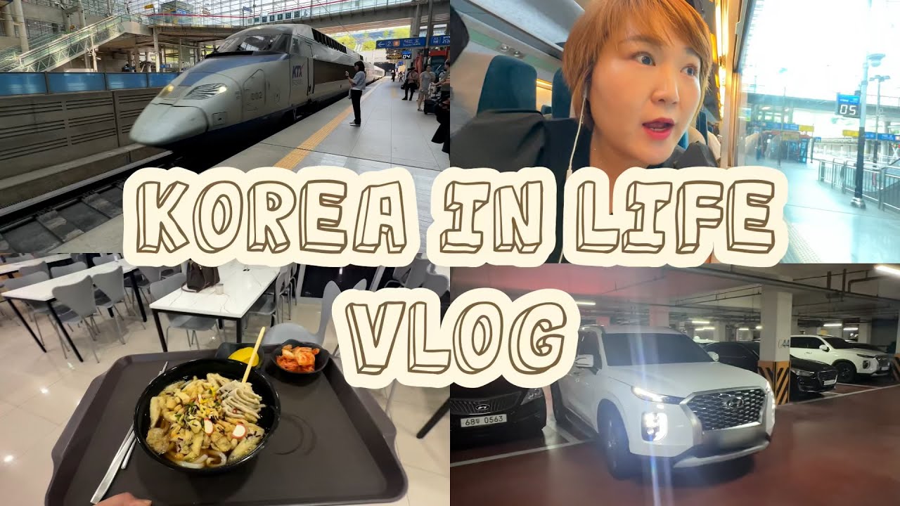 [🇰🇷한국 vlog #26] 혼자 기차타고 대구방문하기 🚅/ 드디어 나에게도 차가 생겼다!!!야호~~~~~🥳