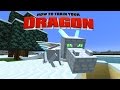 Minecraft - HOW TO TRAIN YOUR DRAGON - Catch me Bubbles! [13]