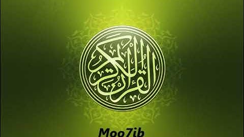 سورة القصص القارئ الشيخ عامر الكاظمي