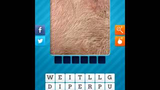 Close Up Pics game answers level 18 Details