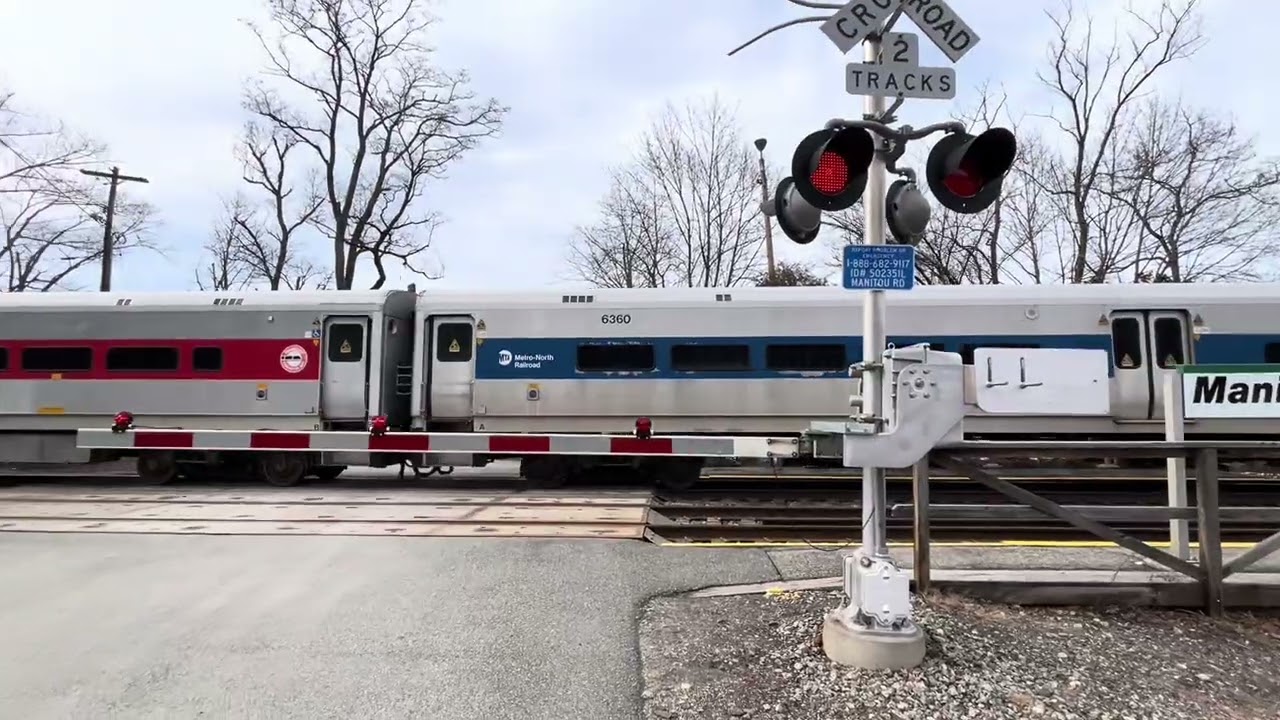 Elinor and Friends At Manitou Road Railroad Crossing Philipstown NY Episode 4326