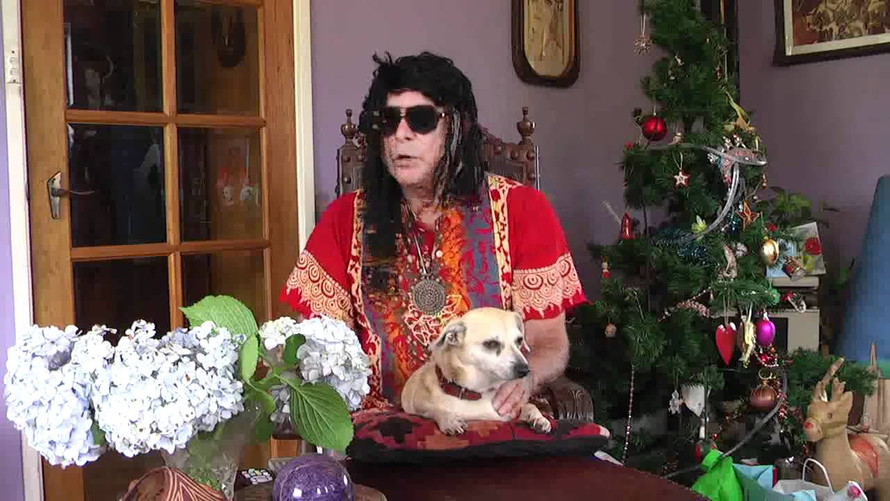 Save the Bonobos, save the Earth