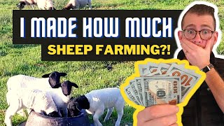 The Surprising Income from 3 Years of Backyard Sheep