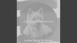 Information Aufregend Ruhige Welpen - Stimmung News