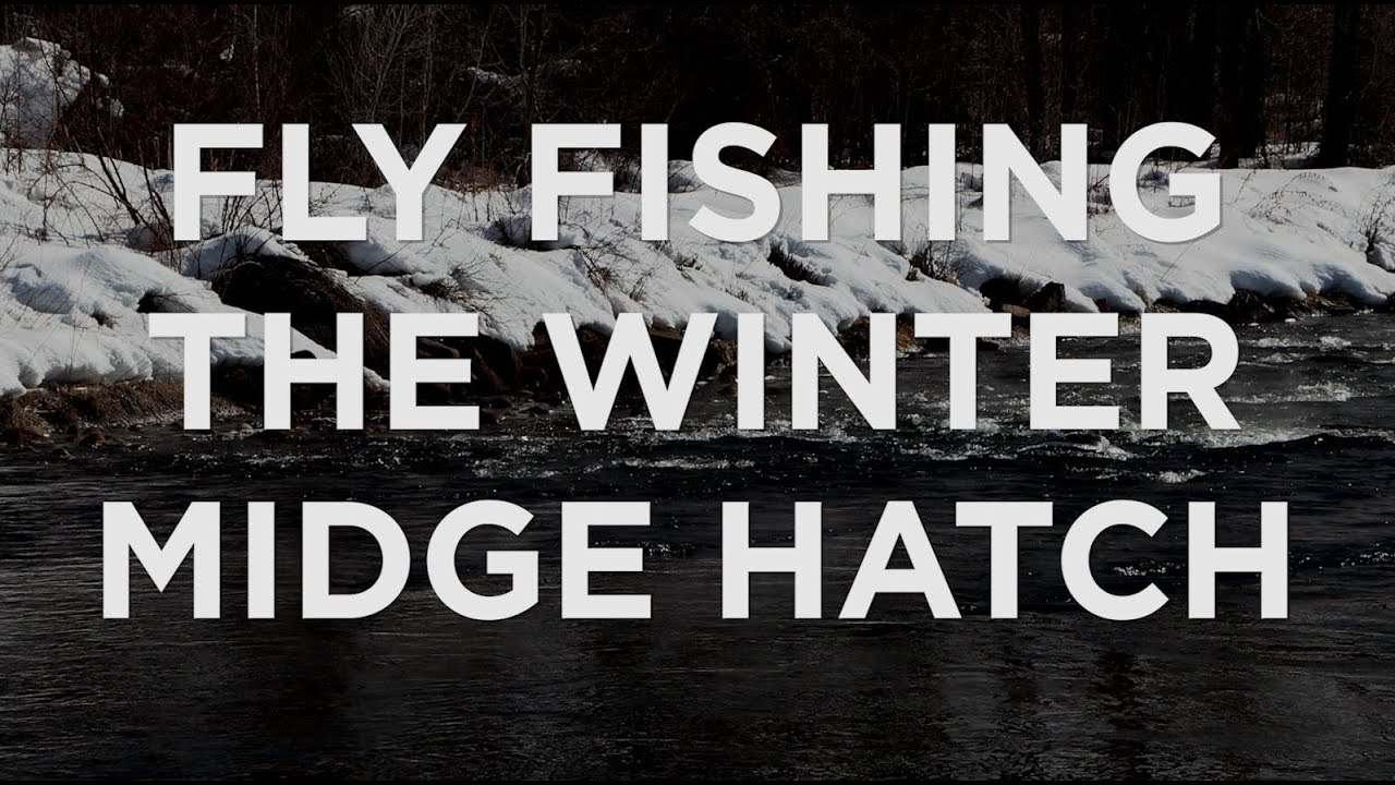 Fish Tech Tip: Fishing the Winter Midge Hatch 
