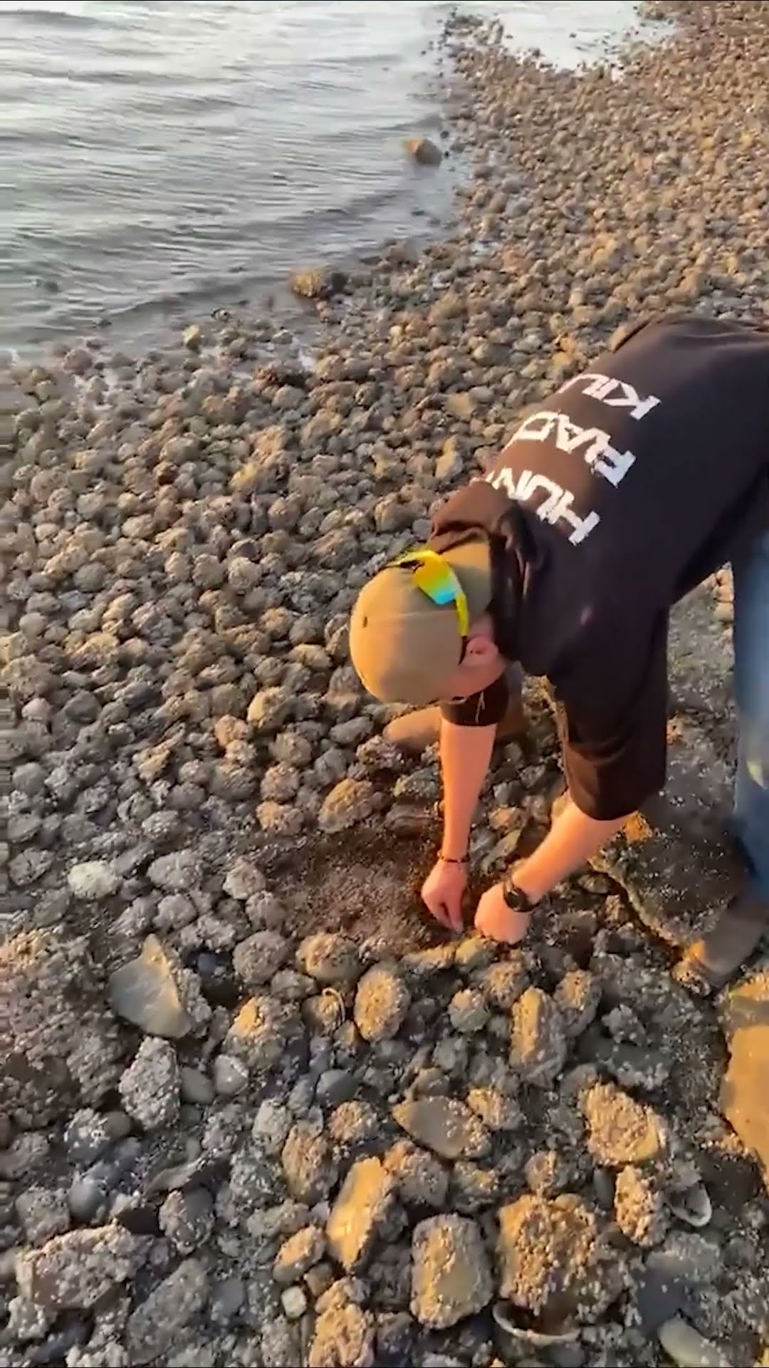 New Pokémon Discovered