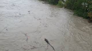 Hochwasser Ticino 03.10.2020