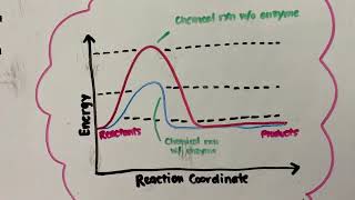 Chapter17. How Digestive Secretion Are Regulated