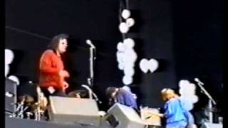 Mercury Rev, Very Sleepy Rivers, Live at Phoenix Festival (1993), Yerself is Steam