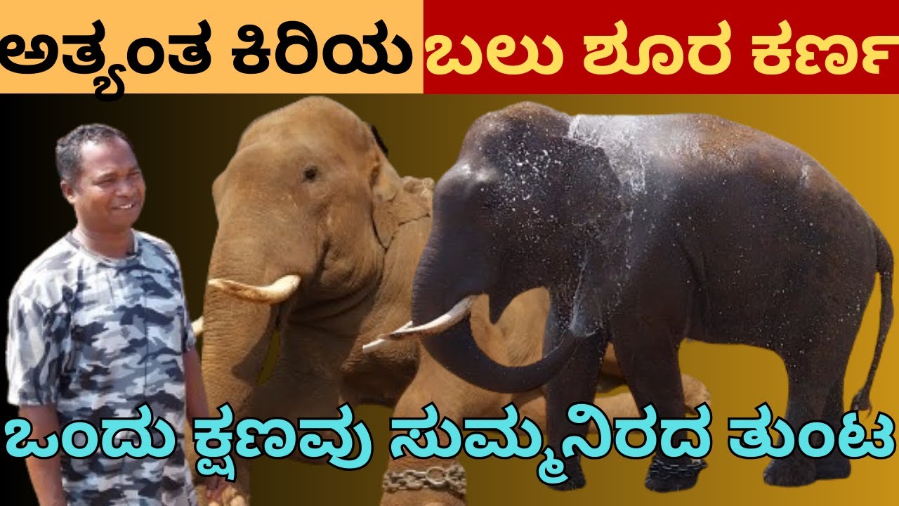 ಹಾರಂಗಿ ಕ್ಯಾಂಪಿನ ಕಿರಿಯಾನೆ ತುಂಟ ಕರ್ಣ | elephant video | kathahandara
