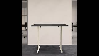 Ergo Height Adjustable Table