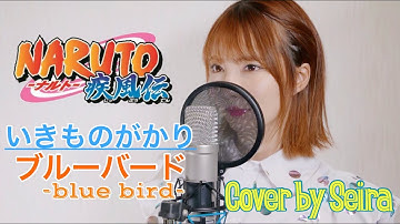 ブルーバード / いきものがかり 【NARUTO疾風伝 OP】（Blue Bird / Ikimonogakari ) cover by Seira