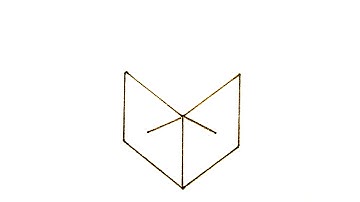 Geometric Synthesis Digitized Animation ::Adam Dargan::