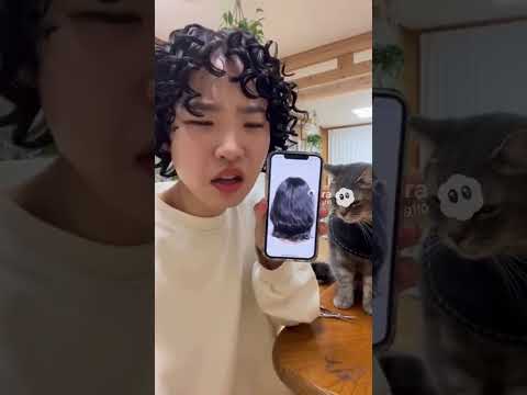파마망친냥이