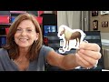 Online Preschool FREE Lesson REVIEW LETTERS H &amp; P Creative Kids Virtual Preschool w/Denise &amp; Ollie!
