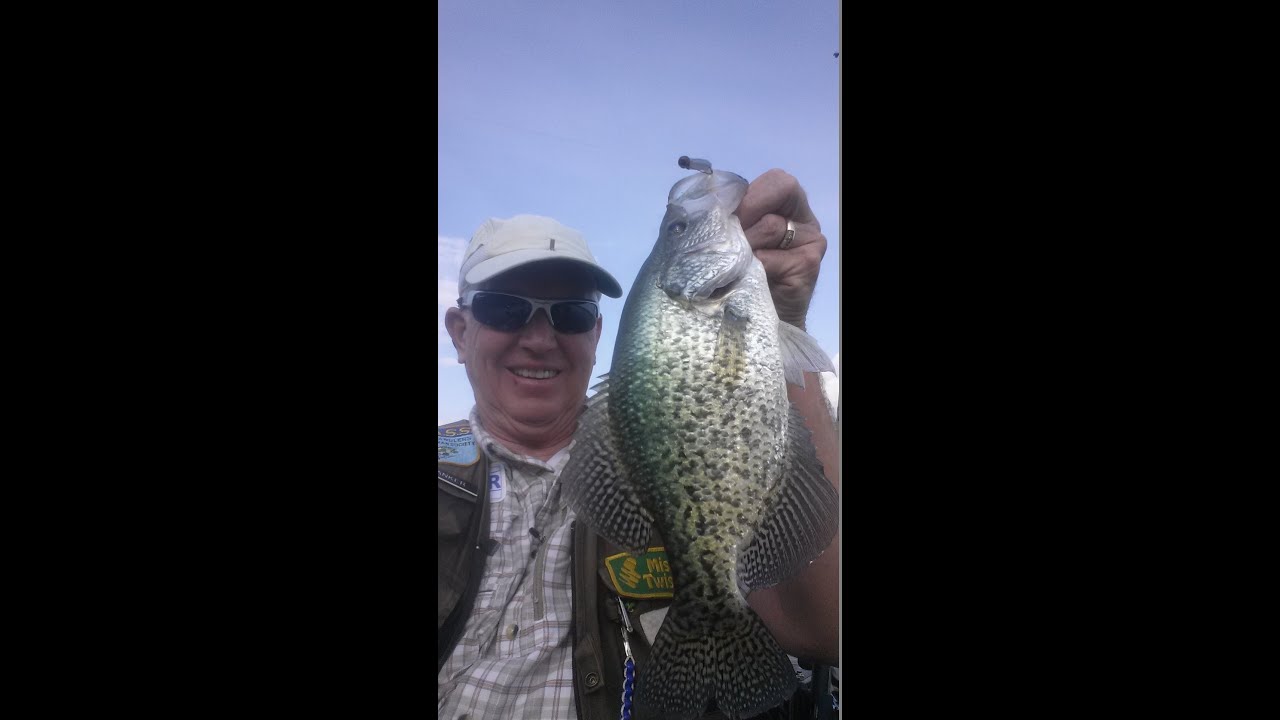 Two Great Swim Baits for Spring Crappie YouTube