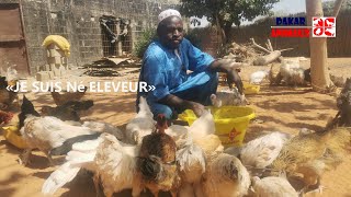 À la rencontre de Baye Diouf, l'un des plus grands éleveur du Sénégal