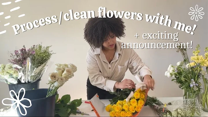 How To Process Flowers, Roses, Ranunculus + Exciting Announcement!