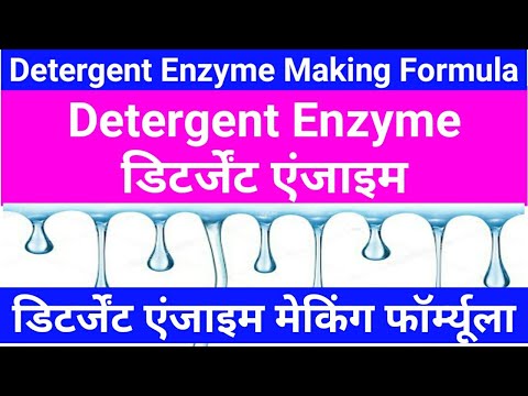 डिटर्जेंट एंजाइम | डिटर्जेंट एंजाइम बनाना | एंजाइम बनाना | एंजाइम डिटर्जेंट