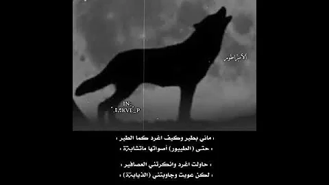 قصيده في الذيب 